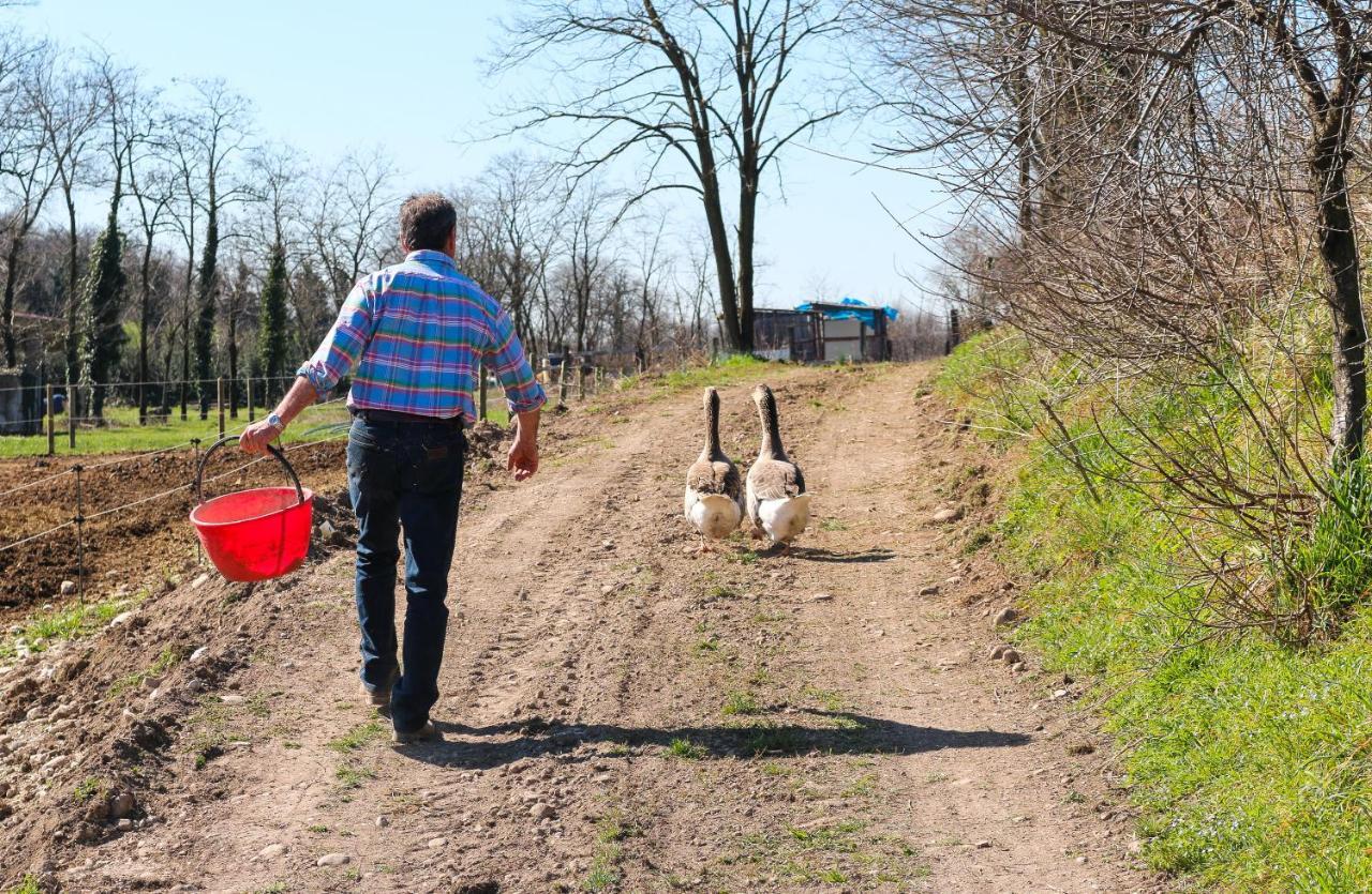 Agriturismo Cascina Le Volpi Solferino Dış mekan fotoğraf