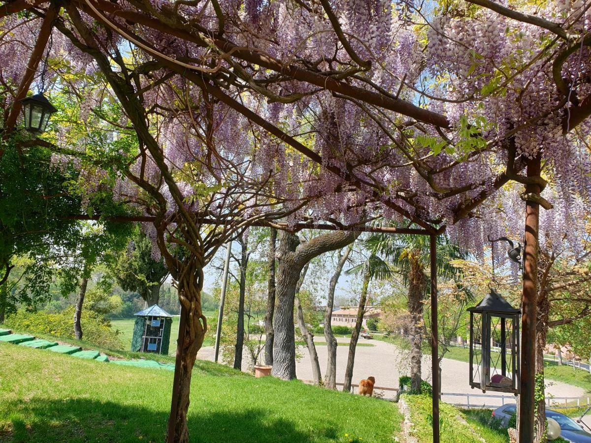 Agriturismo Cascina Le Volpi Solferino Dış mekan fotoğraf