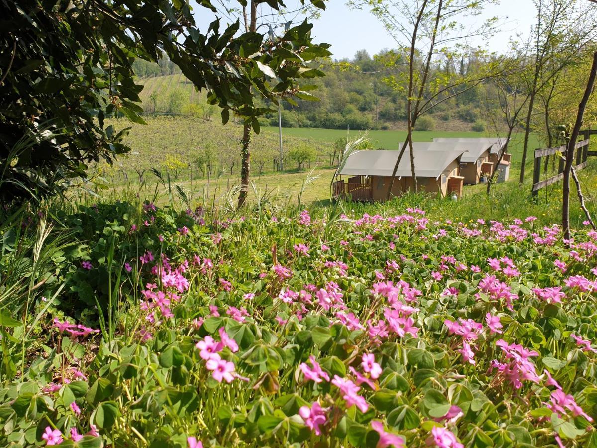 Agriturismo Cascina Le Volpi Solferino Dış mekan fotoğraf
