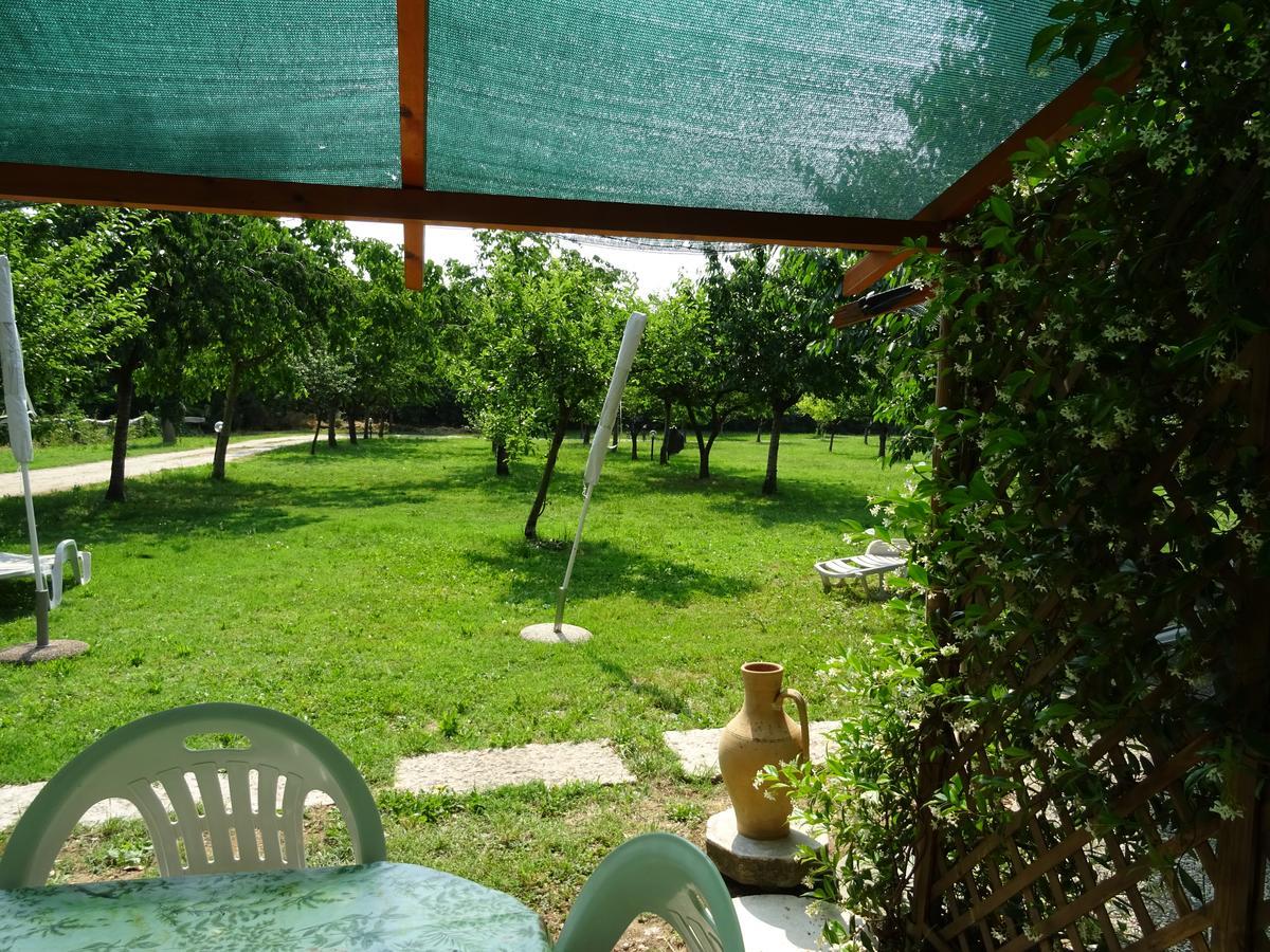 Agriturismo Cascina Le Volpi Solferino Dış mekan fotoğraf