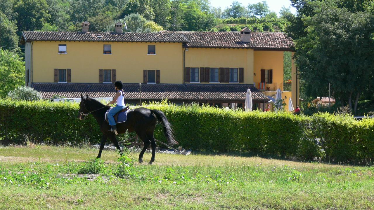 Agriturismo Cascina Le Volpi Solferino Dış mekan fotoğraf